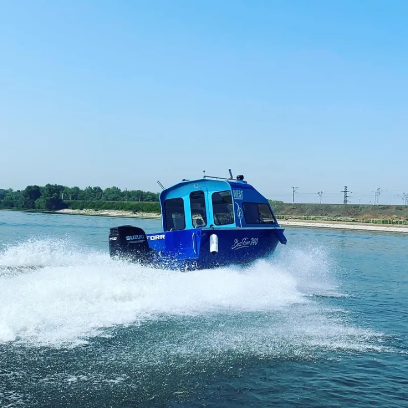 BOSSFORR 740 WEST cabine, фото: 23