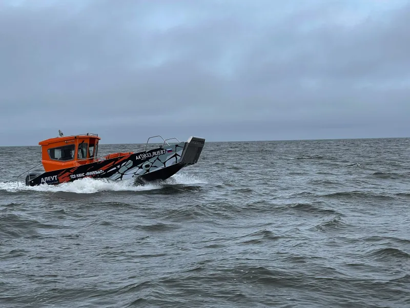 ALEUT LC84, фото: 11