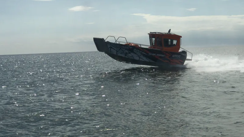 ALEUT LC84, фото: 14