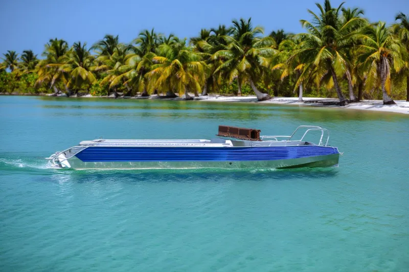 Моторная лодка ORIONBOAT 49 D SERIES, фото: 21