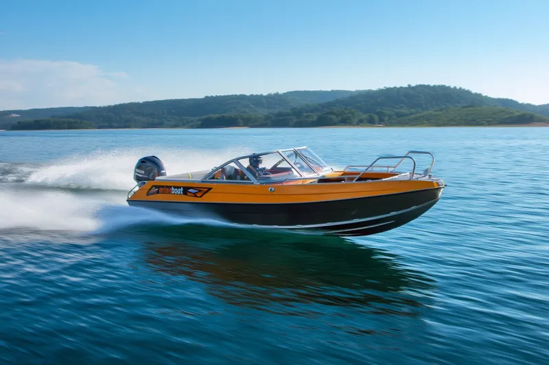 Моторная лодка ORIONBOAT 49 D SERIES, фото: 5
