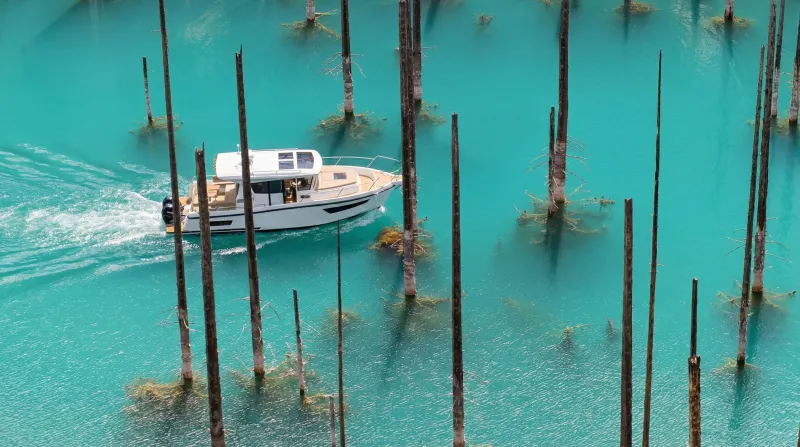 SWIFT CHASER X, фото: 17