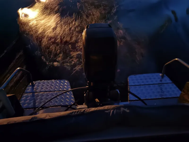 Карп-Патруль, фото: 1