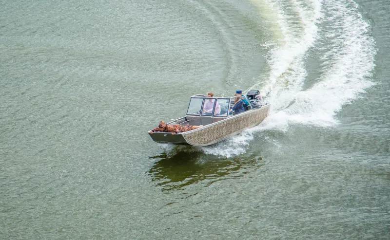 Карп 4.5 (Карп 5.0), фото: 42