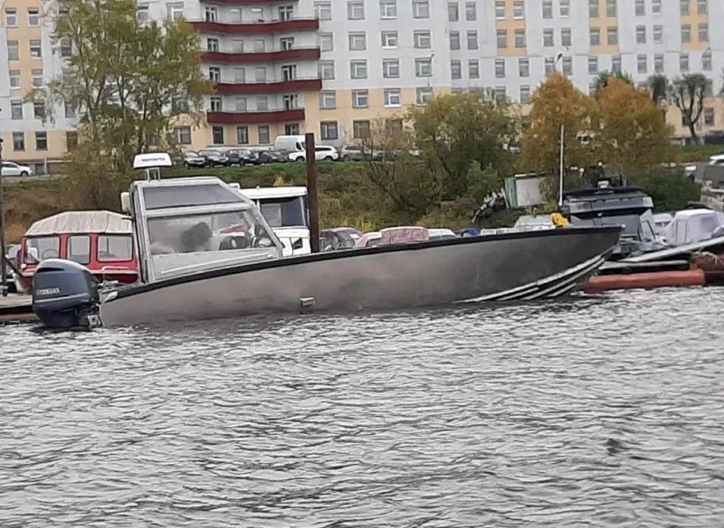 Пантера 8R промысловая, фото: 3