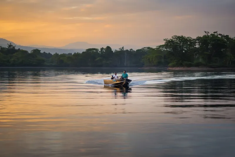 Вятка-Профи «Шило», фото: 1