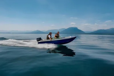 Пластиковая лодка Пингвин обложка