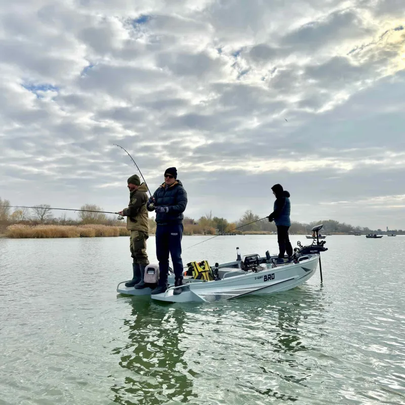 BRO S 4.2, фото: 3