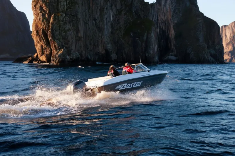 Bester-530A, фото: 15