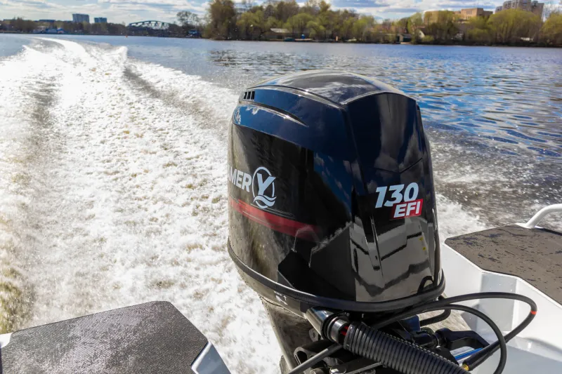 YAVA XL Fish, фото: 6