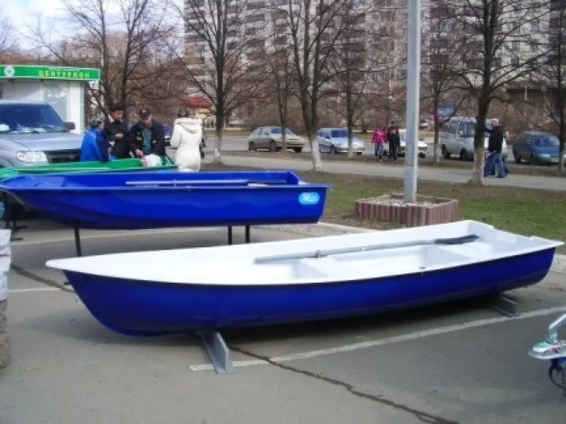 Кефаль, фото: 2