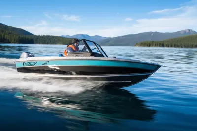 Моторная лодка Wellboat-43-4 обложка