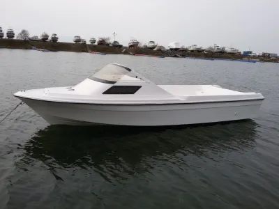 Лодка Yamaha F20-1