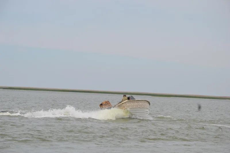 Пластиковая лодка Тунец-580, фото: 5