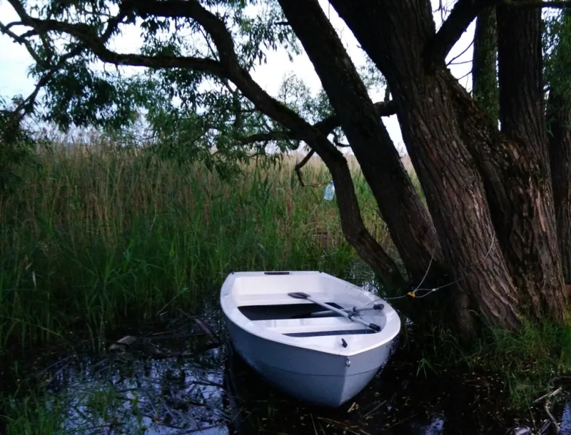 Пластиковая лодка Афина, фото: 15