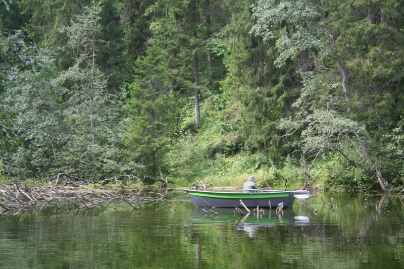 Lima 370, фото: 5