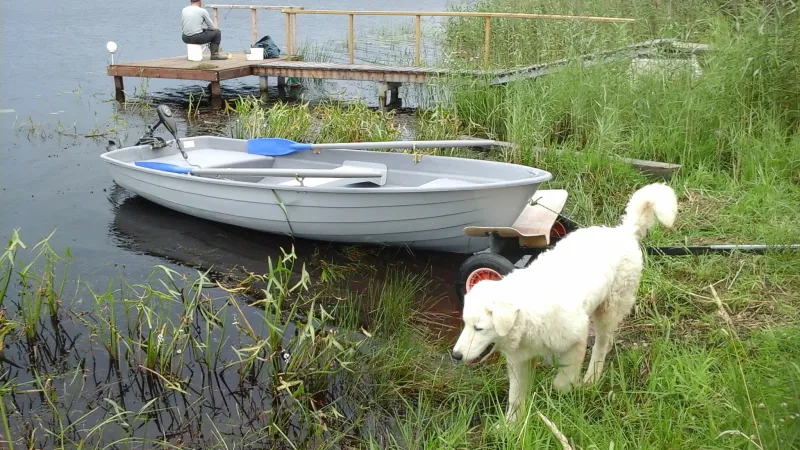 Lima 390, фото: 1