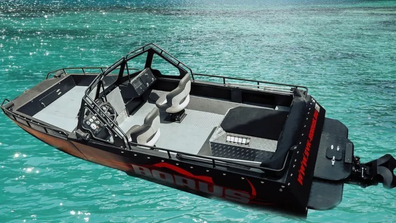 Борус-550 jet pro, фото: 4