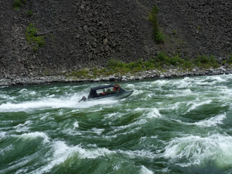 Борус-530 jet, фото: 5