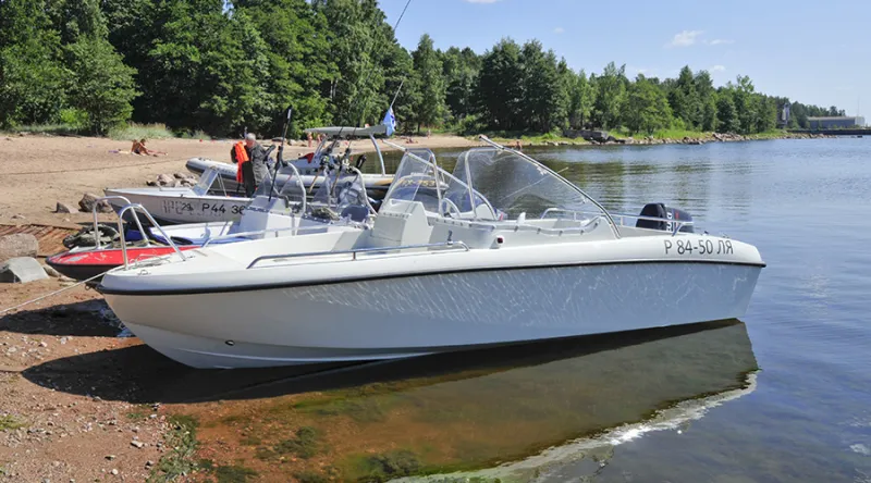 Гибрид F-55, фото: 2