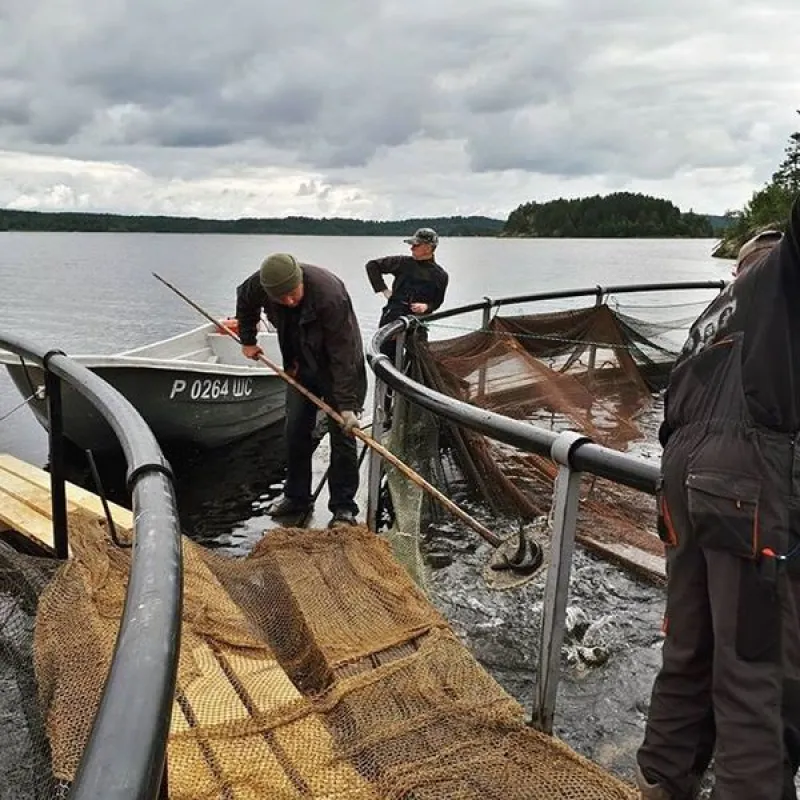 Пластиковая лодка СЛК-580 Ламинария, фото: 21