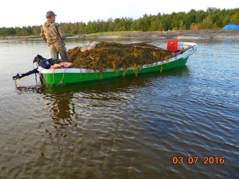 Пластиковая лодка СЛК-580 Ламинария, фото: 17