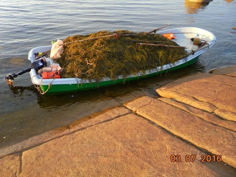 Пластиковая лодка СЛК-580 Ламинария, фото: 12