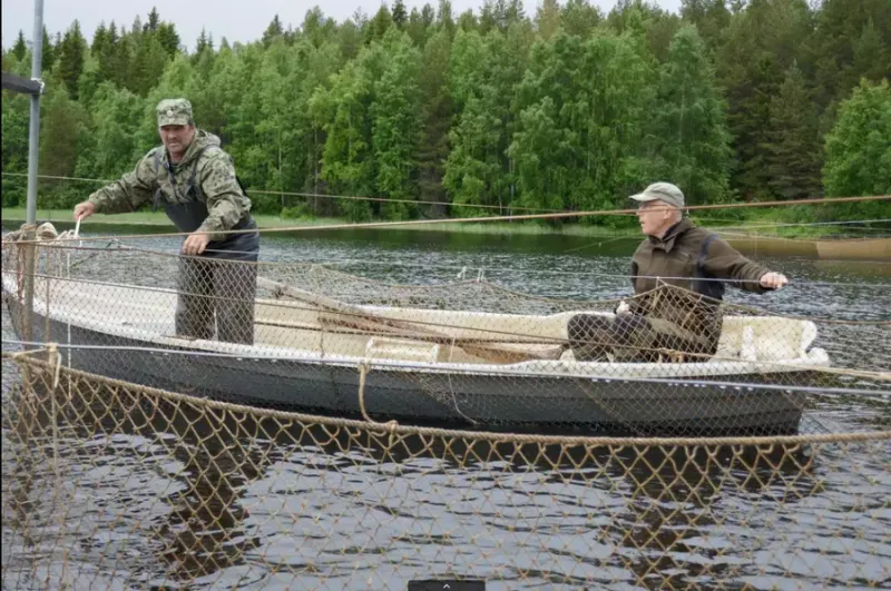 СЛК-460 с II банками, фото: 19