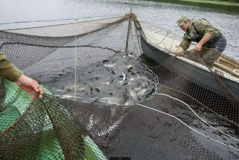 СЛК-460 с II банками, фото: 4