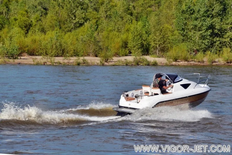 VIGOR 480 (S) Walk Around, фото: 25