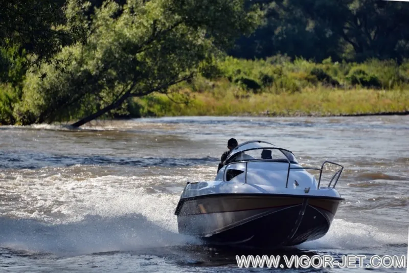 VIGOR 480 (S) Walk Around, фото: 29