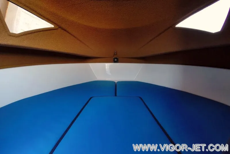 VIGOR 480 (S) Walk Around, фото: 10