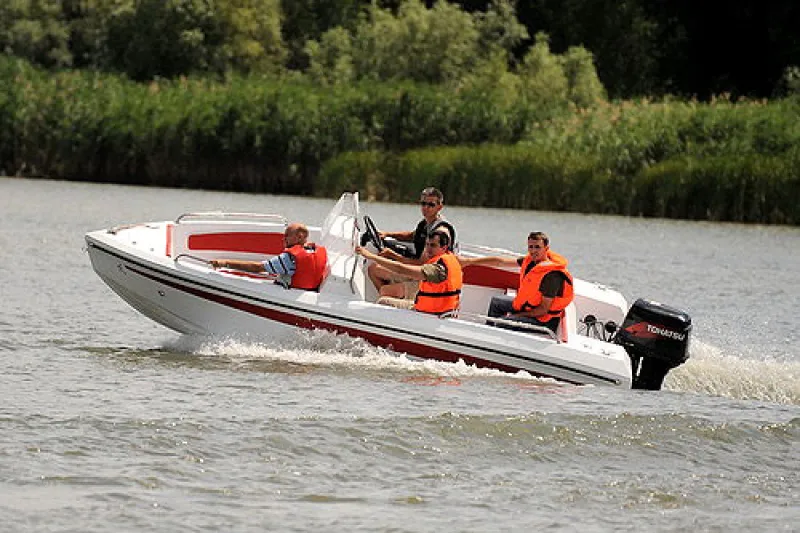 Дончак 4,7 V, фото: 1