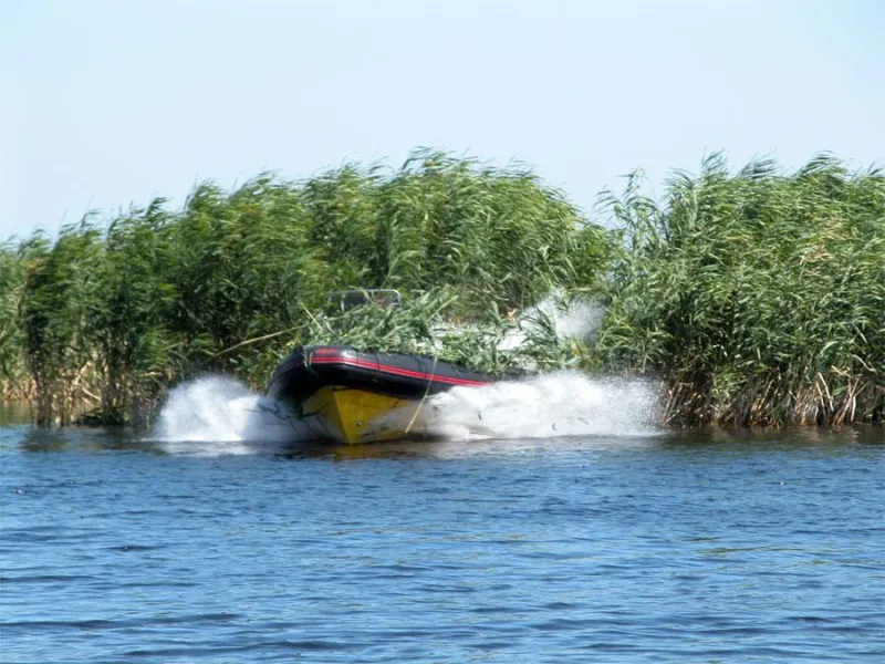 РИБ RX-600, фото: 13