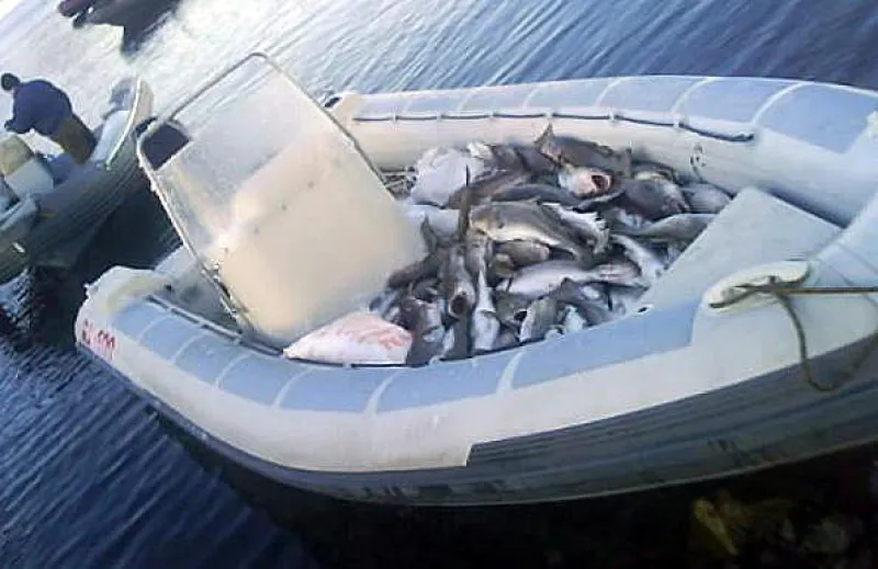 РИБ RX-600, фото: 6