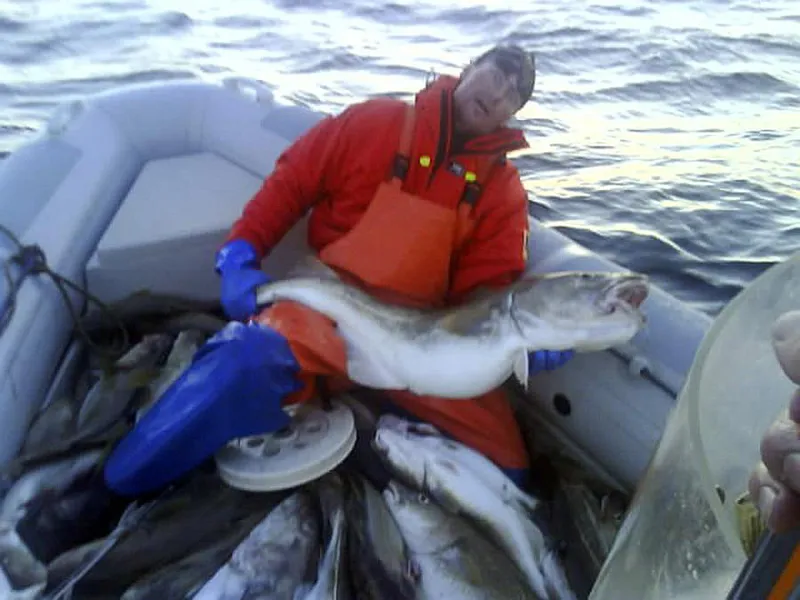 РИБ RX-600, фото: 5