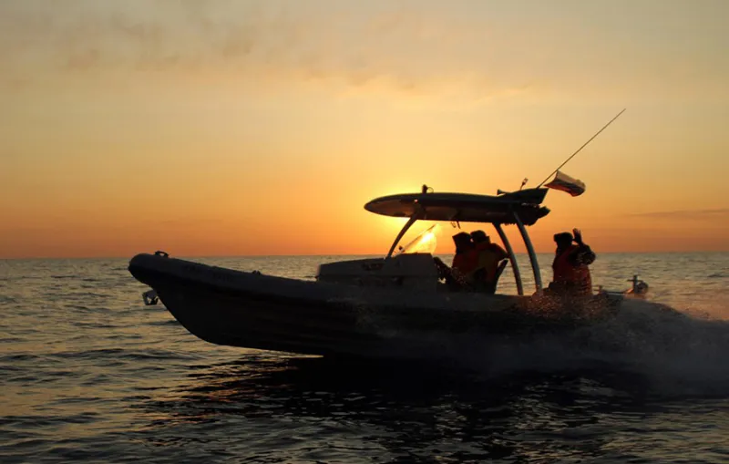 РИБ RX-753, фото: 10