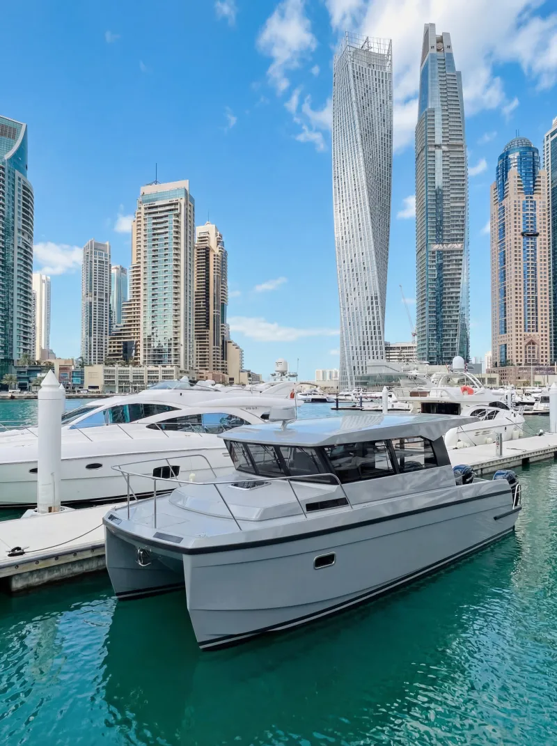 Моторная лодка Swift Chaser RSV900 EXP, фото: 1