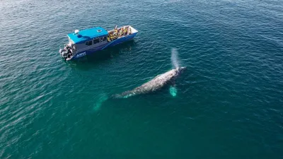 Лодка ALEUT LC112 Explorer