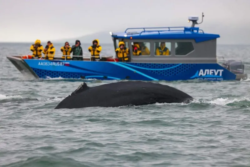 ALEUT LC112 Explorer, фото: 15