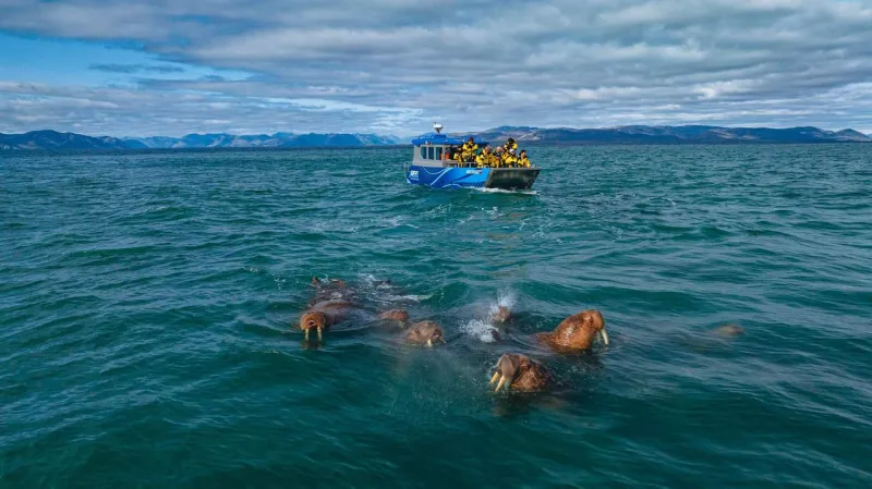 ALEUT LC112 Explorer, фото: 14