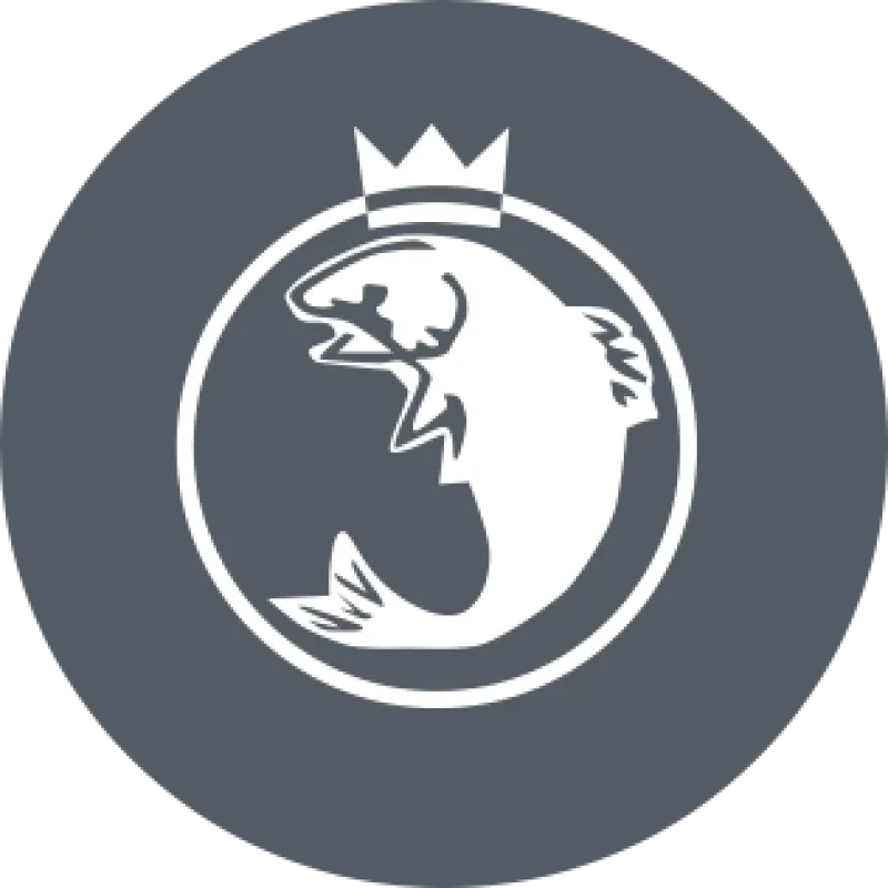 Моторная лодка Катера для рыбалки и туризма KFboats, фото: 18