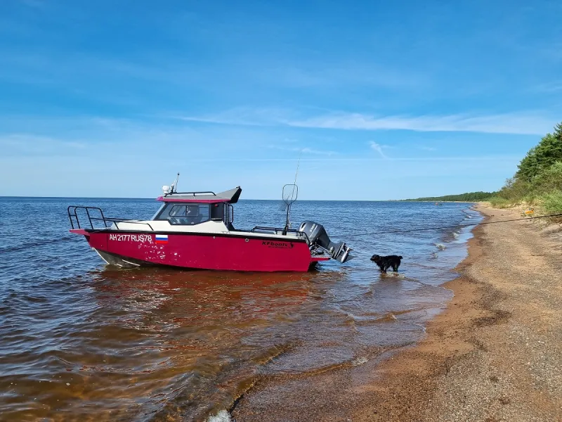 Моторная лодка Катера для рыбалки и туризма, фото: 11