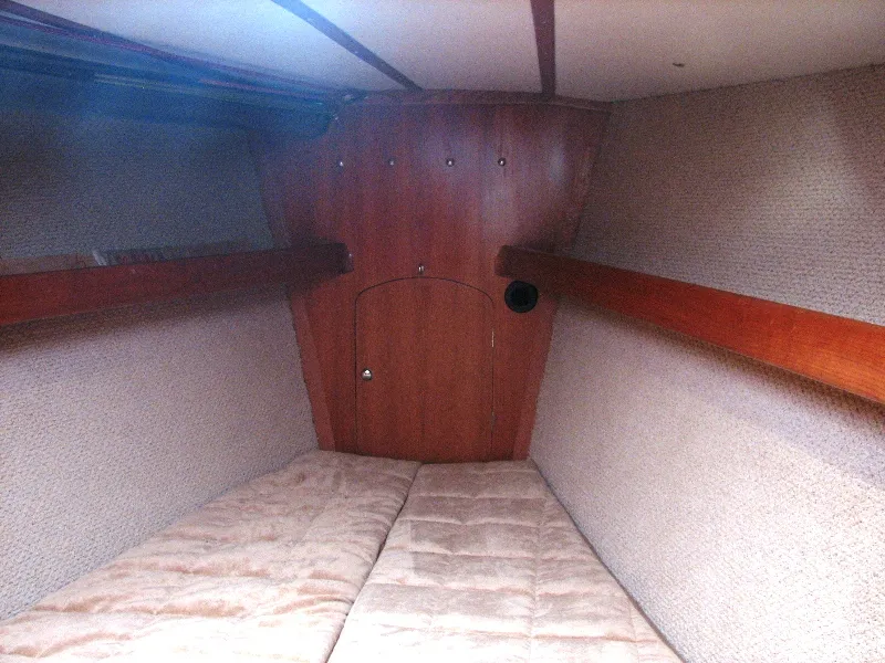 Spray-42, фото: 13