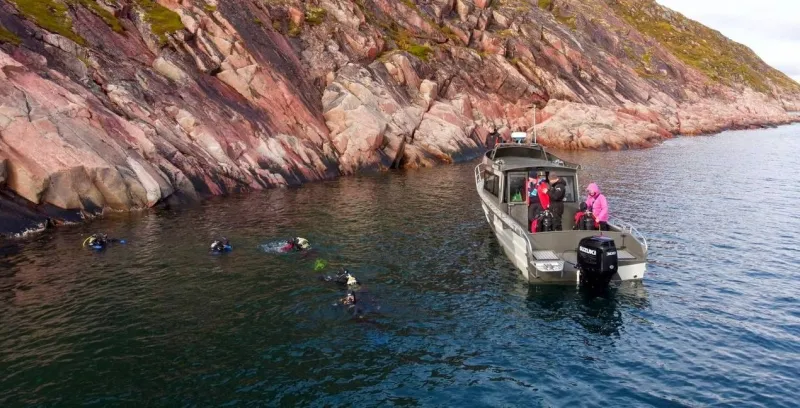 Алюминиевая лодка Моторная яхта Ямал-29М, фото: 12