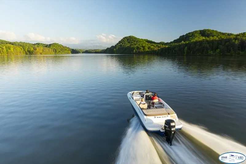 Bayliner VR6OE, фото: 12