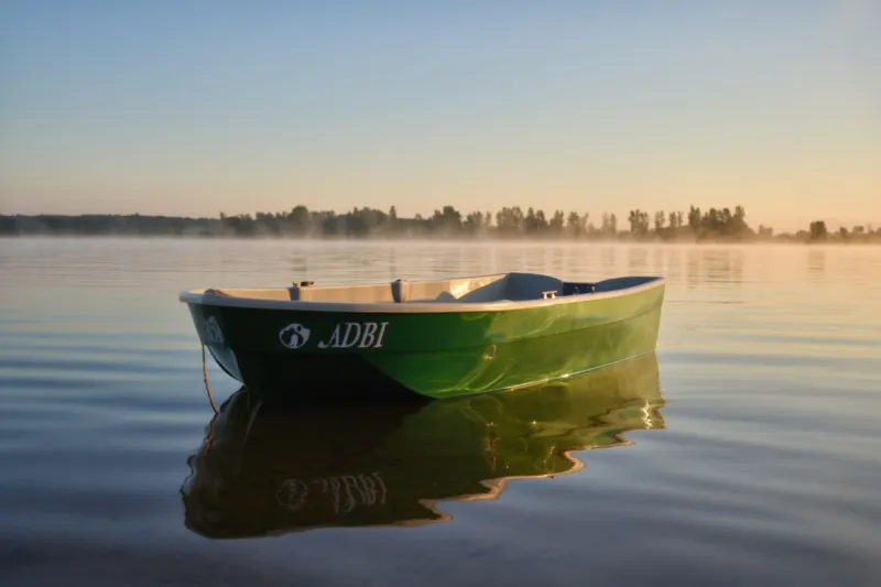Пластиковая лодка  Афалина 315, фото: 2