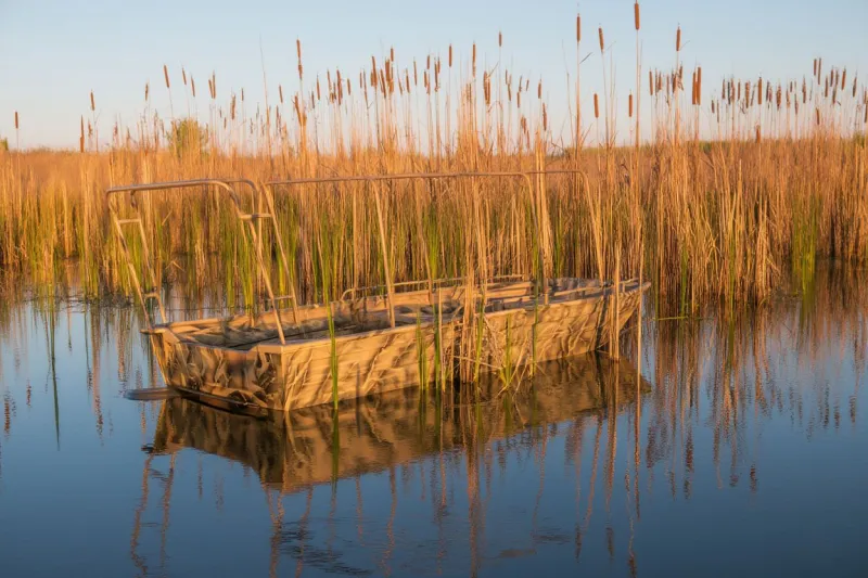 Катер Maxiboat 5.0, фото: 4