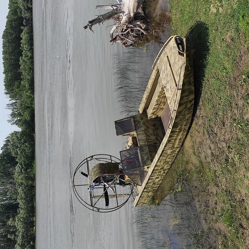 Моторная лодка Аэролодка 