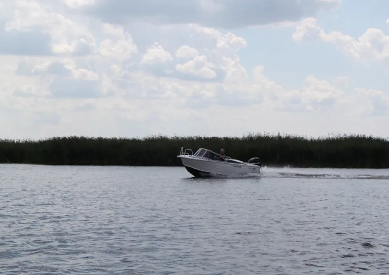 FreeStyle 475, фото: 2